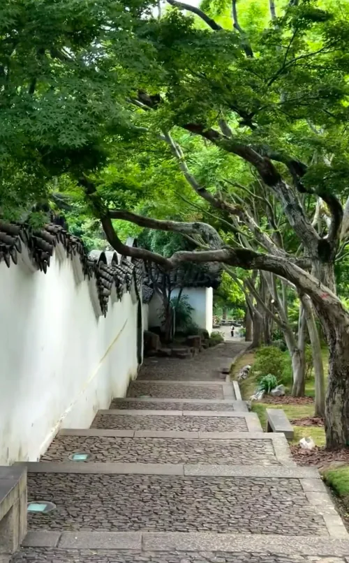 Stone steps